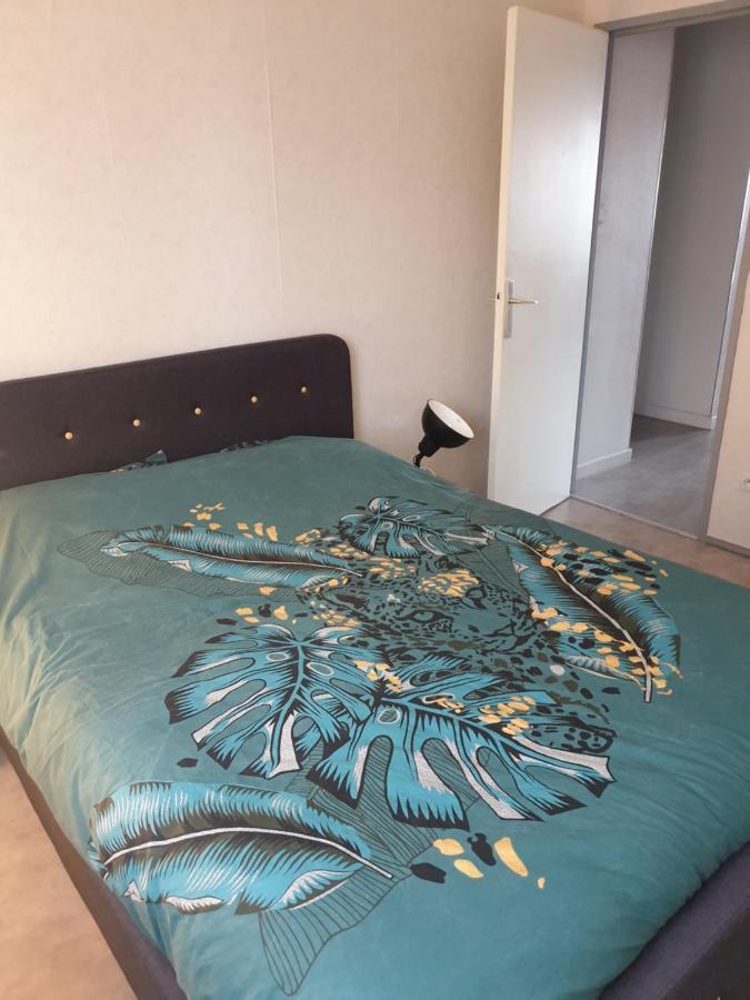 Mulhouse,Grand Appart Cosy&Lumineux, 78M2 , Pour 5 Personnes Dış mekan fotoğraf